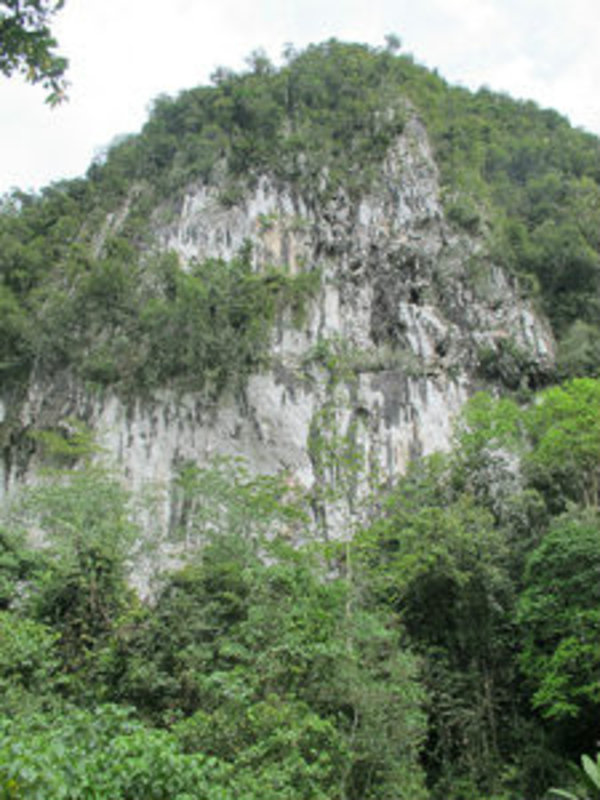 Nearing the Caves - Gunung Mulu National Park