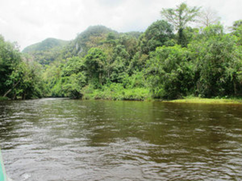 Travelling up the Melinau River