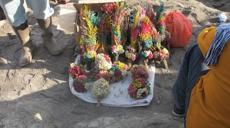 Offerings for Mount Bromo