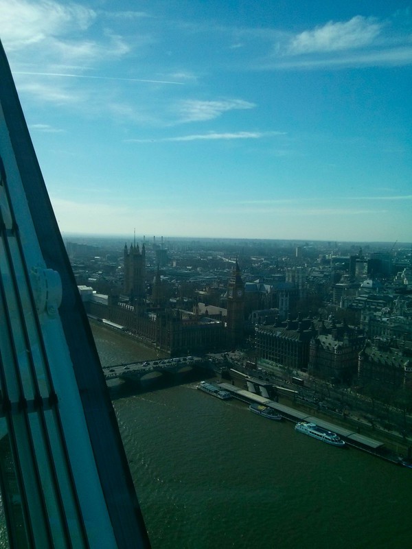 London Eye View-9