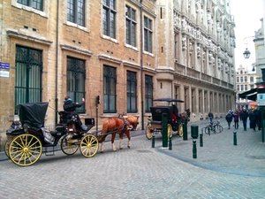 Horse & Carriages