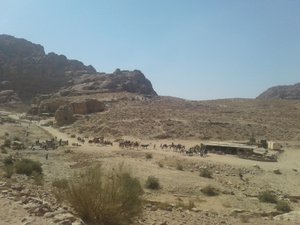 A camel caravan passing in front the cafe which I made my rest stop. View looking down from the Royal Tombs 