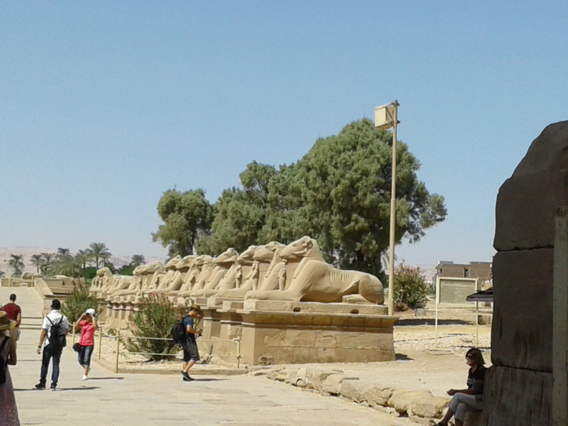 Ram headed sphinxes along the route at Karnak temple