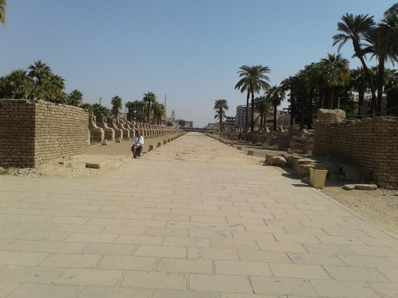 seated at the the avenue of human headed sphinxes on the ceremonial route to Luxor temple