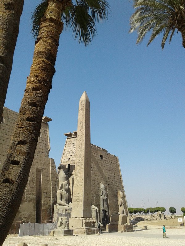 Side view of Luxor temple obelisk and colossi in front of the giant pylon gate entrance with date palm trees 