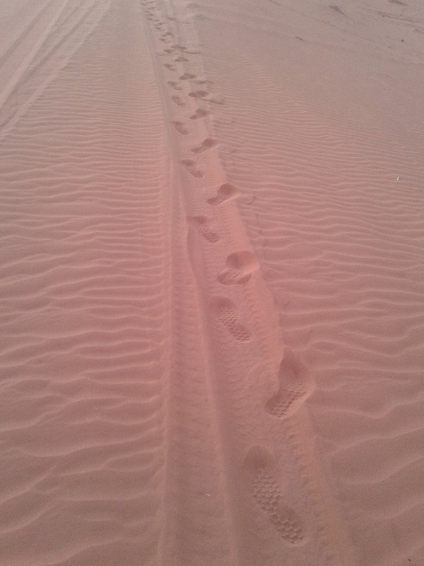 footprints in the desert sand at Wadi Rum