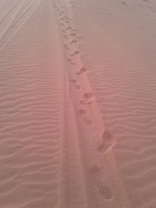 footprints in the desert sand at Wadi Rum