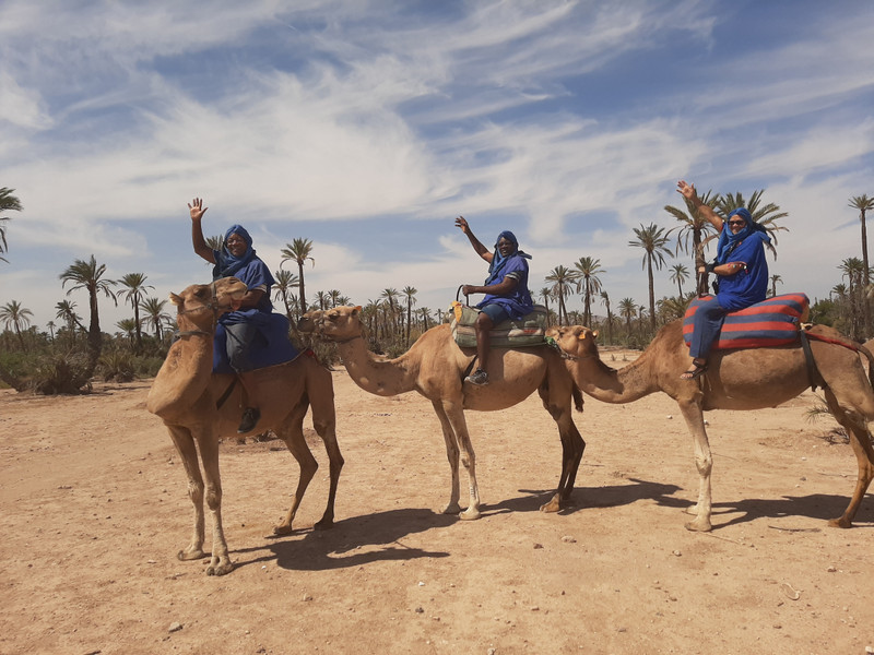 waving from the camel train
