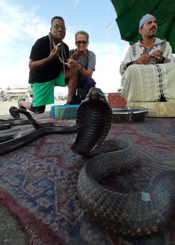 cobras r us with the snake musician