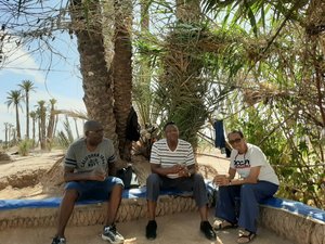 under the shade of the date palms waiting for our camel ride