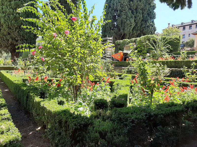 the Gardens at Generalife in Alhambra with oranges and flowering trees