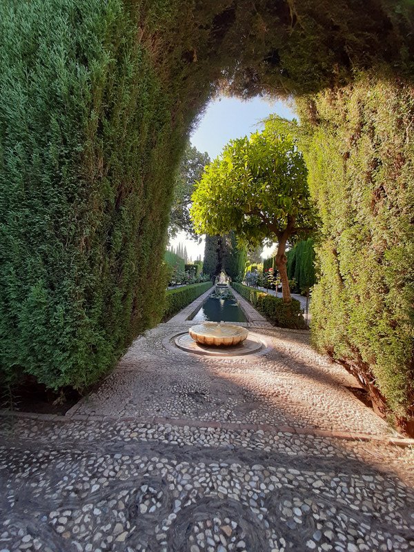 avenue of Cypress trees are a later addition at Generalife gardens