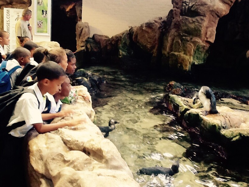 Young and old, the Penguins are a favorite 