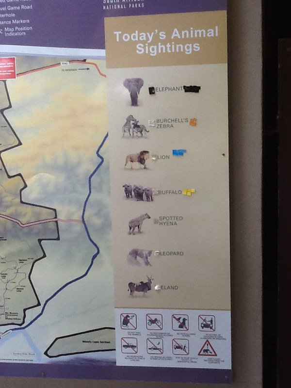 The Daily scoreboard of sightings at Addo