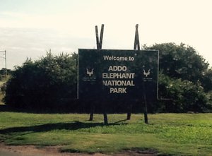 The name of the park is Addo Elephant National Park