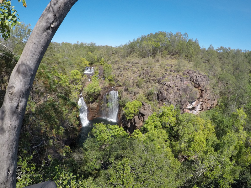 A view of Florence Falls from the car park