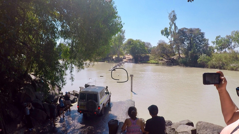 Circled is the croc in the middle of the road