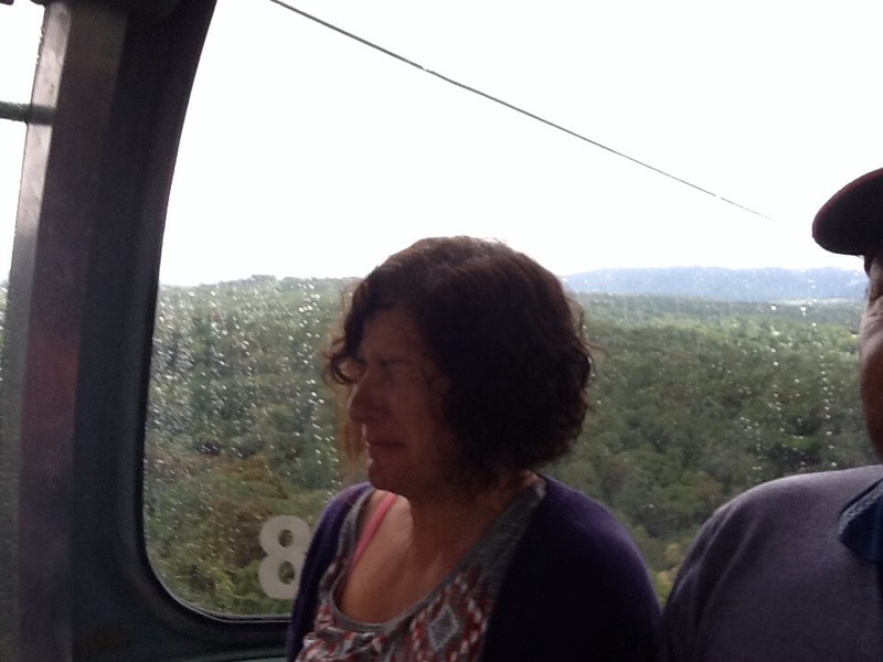 Tracey During the Skyrail trip. Terrified