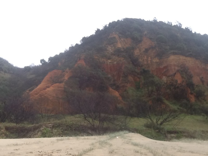 Red Canyon rocks on the foreshore