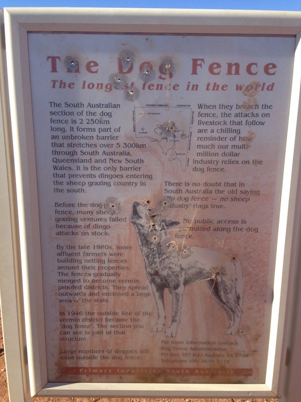 All about the dog fence