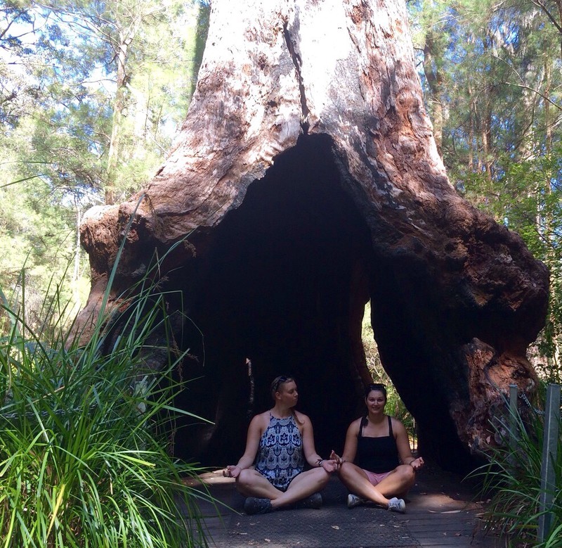 Valley of the Giants