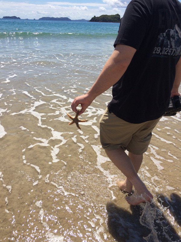 Rescuing a Starfish