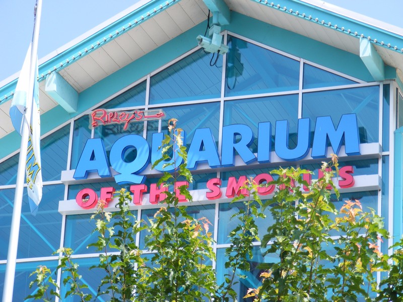 Aquarium of the Smokies 