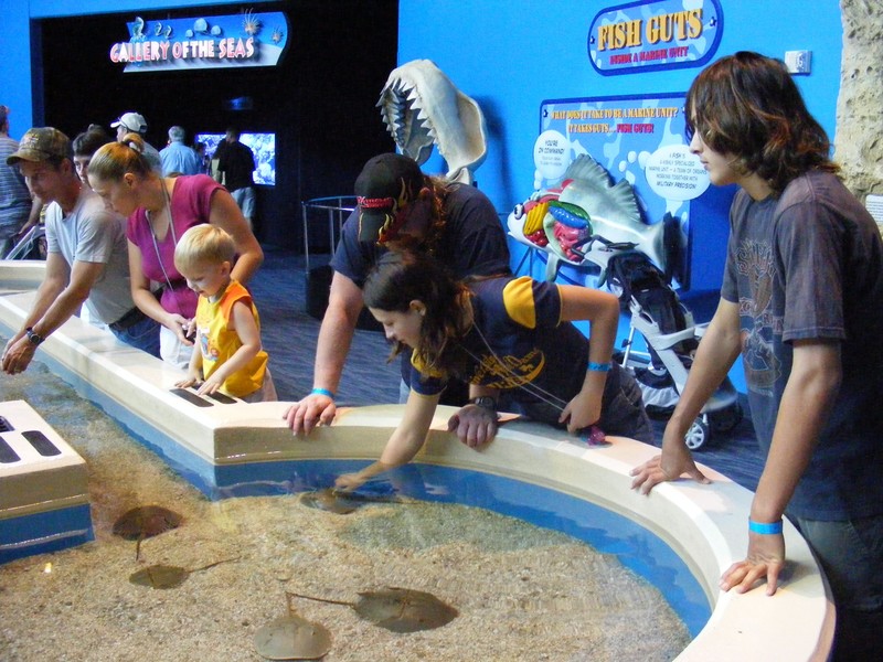 Aquarium of the Smokies 