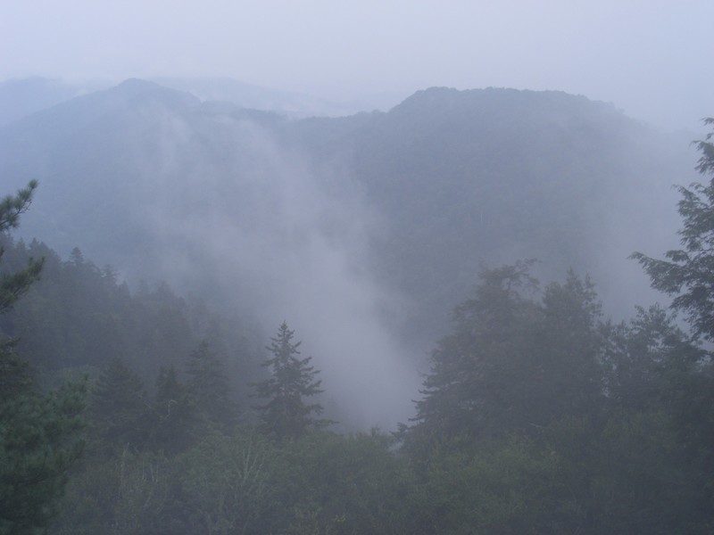 Great Smoky Mountain NP 