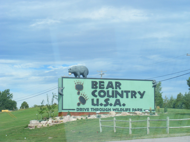 bear country sign