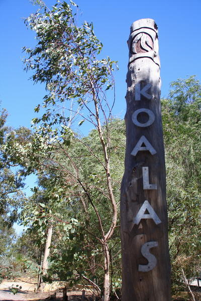 Koala Sign