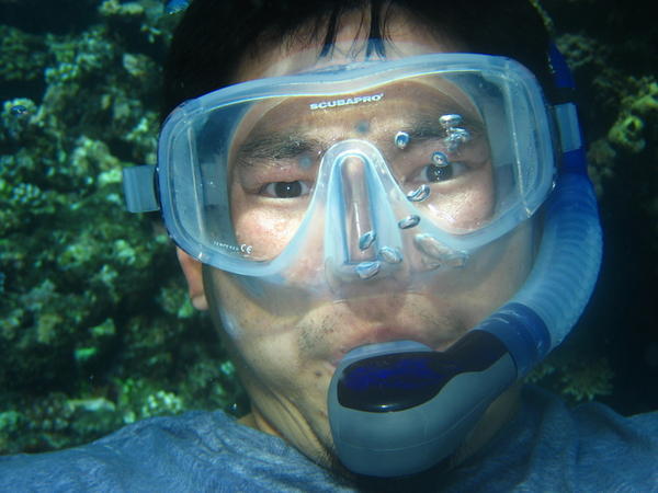 Snorkel Self Photo