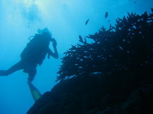 Underwater Photography is fun