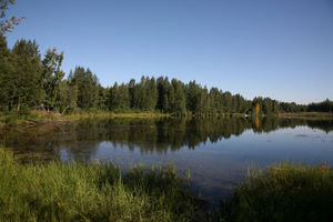 Lake near Bonnie's house