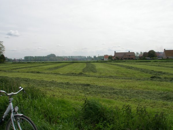Wide open fields