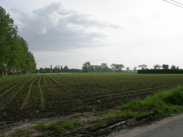 Brugge countryside