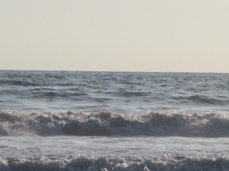 The surf