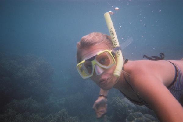 snorkelling in cairns