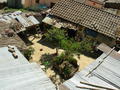 Typical tin roofs and backyard