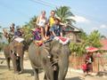 Elephant Ride (Hongsa)