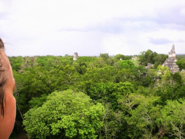 Tikal-the view