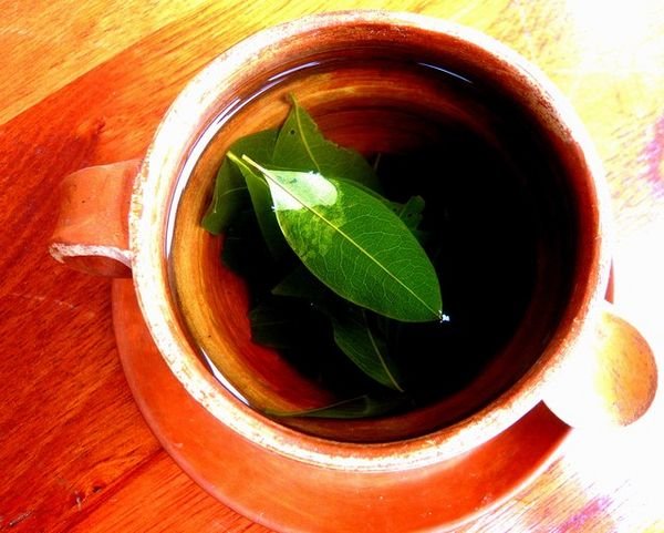Coca tea that is sipped