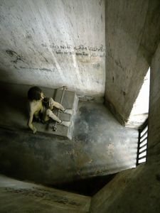 HCMC war museum; Prison cells