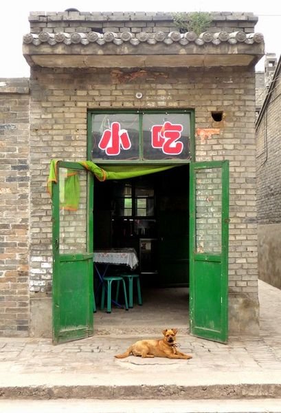 Dog outside tea shop