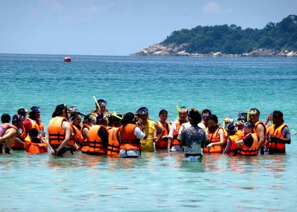 But then the Koreans come along once a day to snorkel in droves.