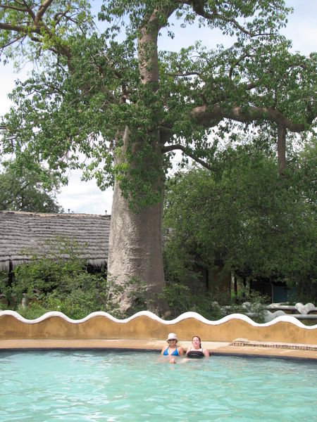 Anj & Jes - Gweta baobab