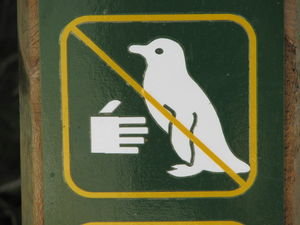 Do Not Fondle the Penguins