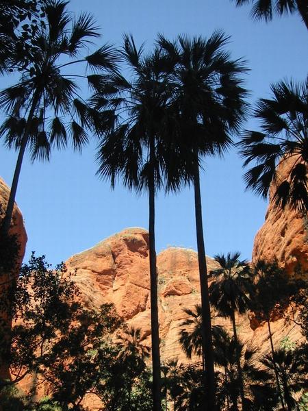Mini Palms Gorge - Purnululu