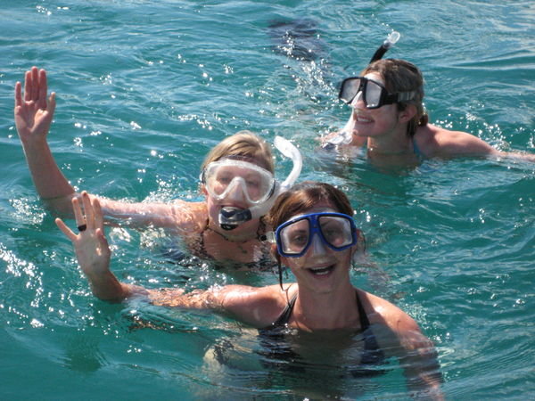 snorkeling Moreton