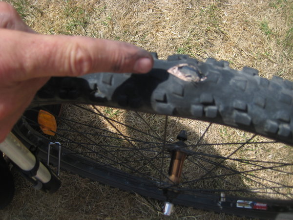 puncture, required a new tube and tyre in thornton